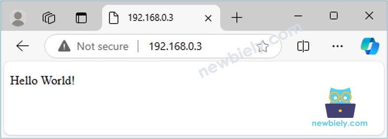 Servidor web de Arduino Nano Hola Mundo