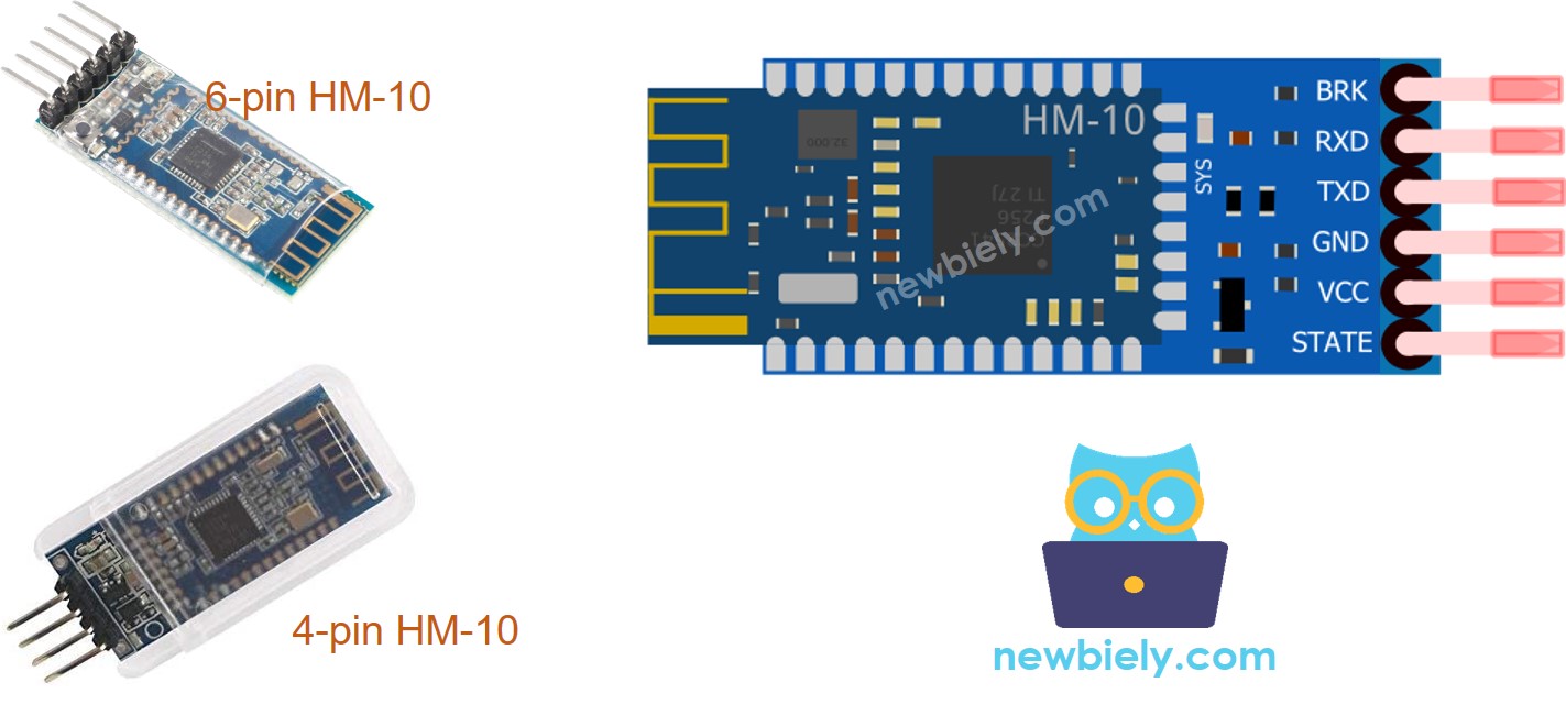 Disposición de pines de BLE