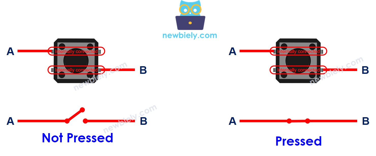 Cómo funciona el botón